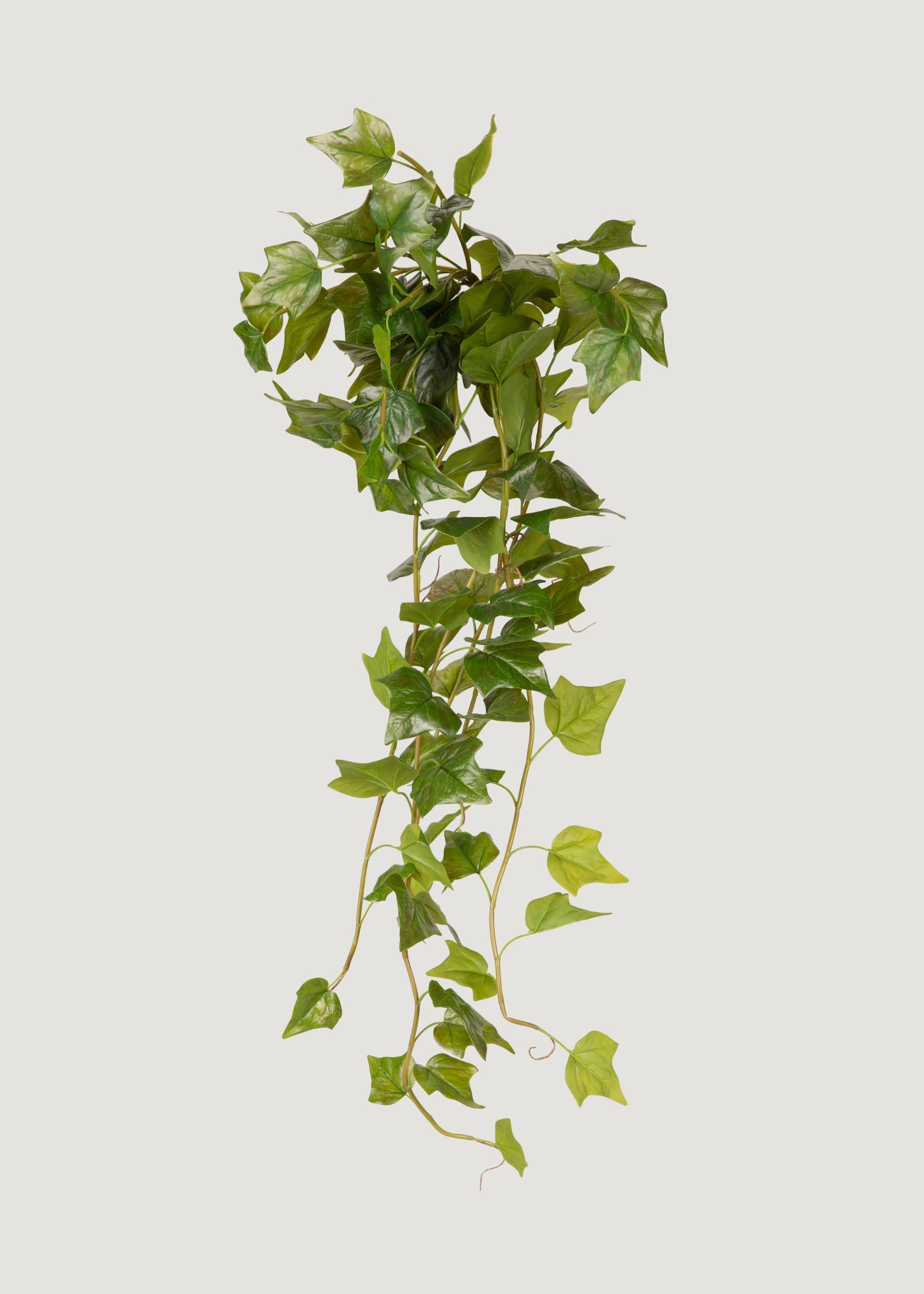 UV加工済み 屋外用植物 ナチュラルタッチ アイビー 吊り下げ式 - 42インチ