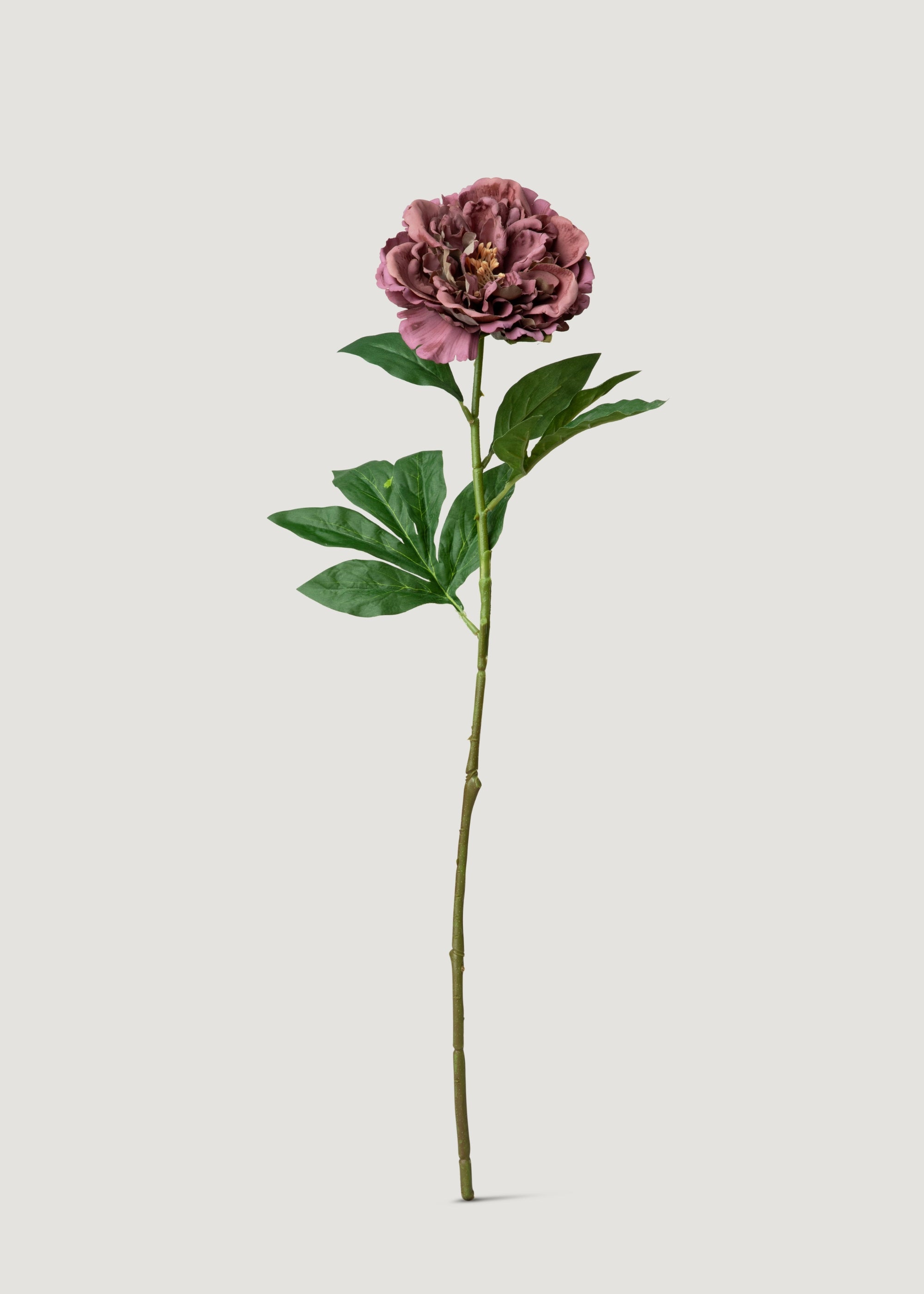 Artificial Mauve Brown Real Touch Peony Flower - 24.5"