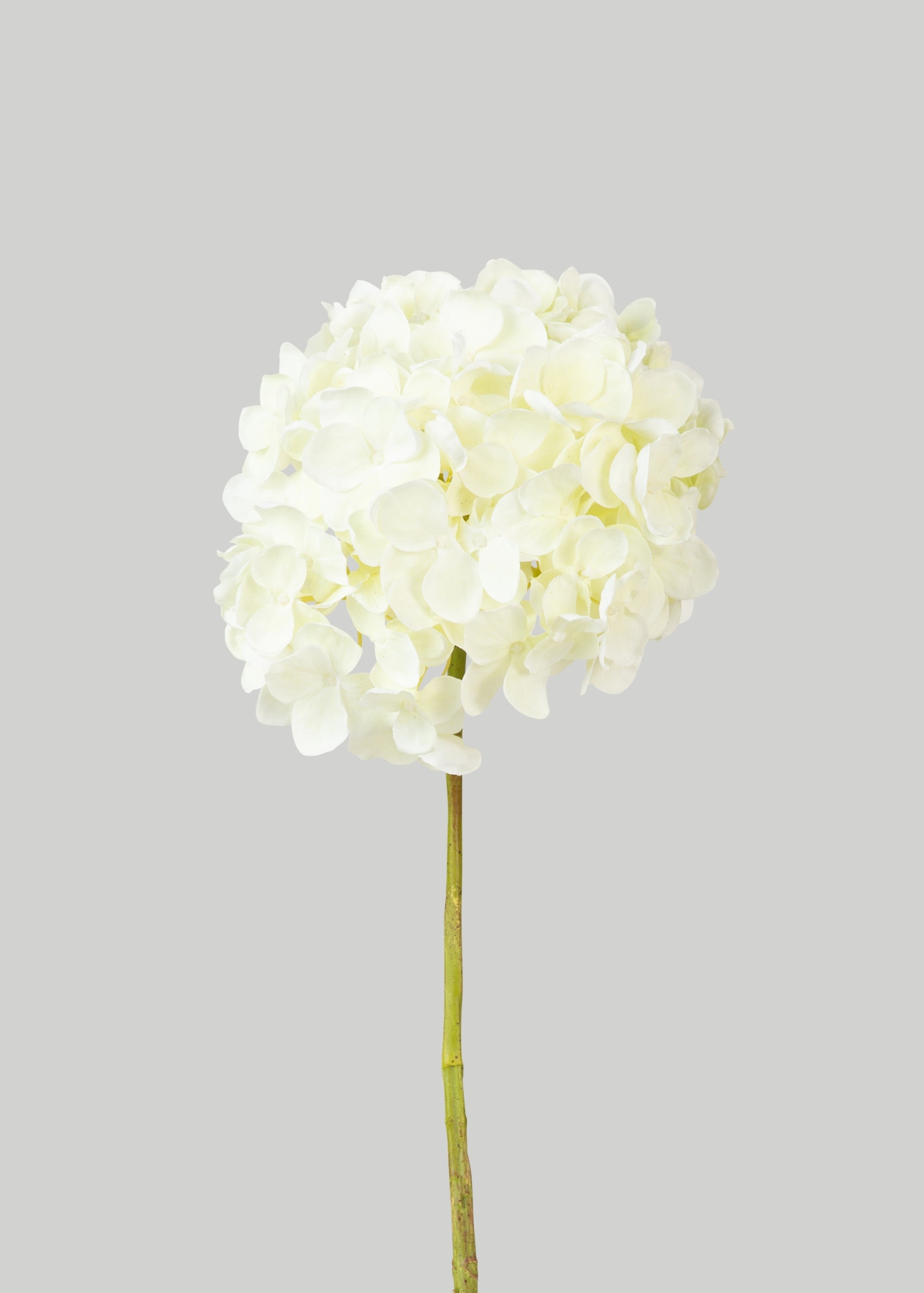 大きな白い造花アジサイ - 24インチ x 9インチの花