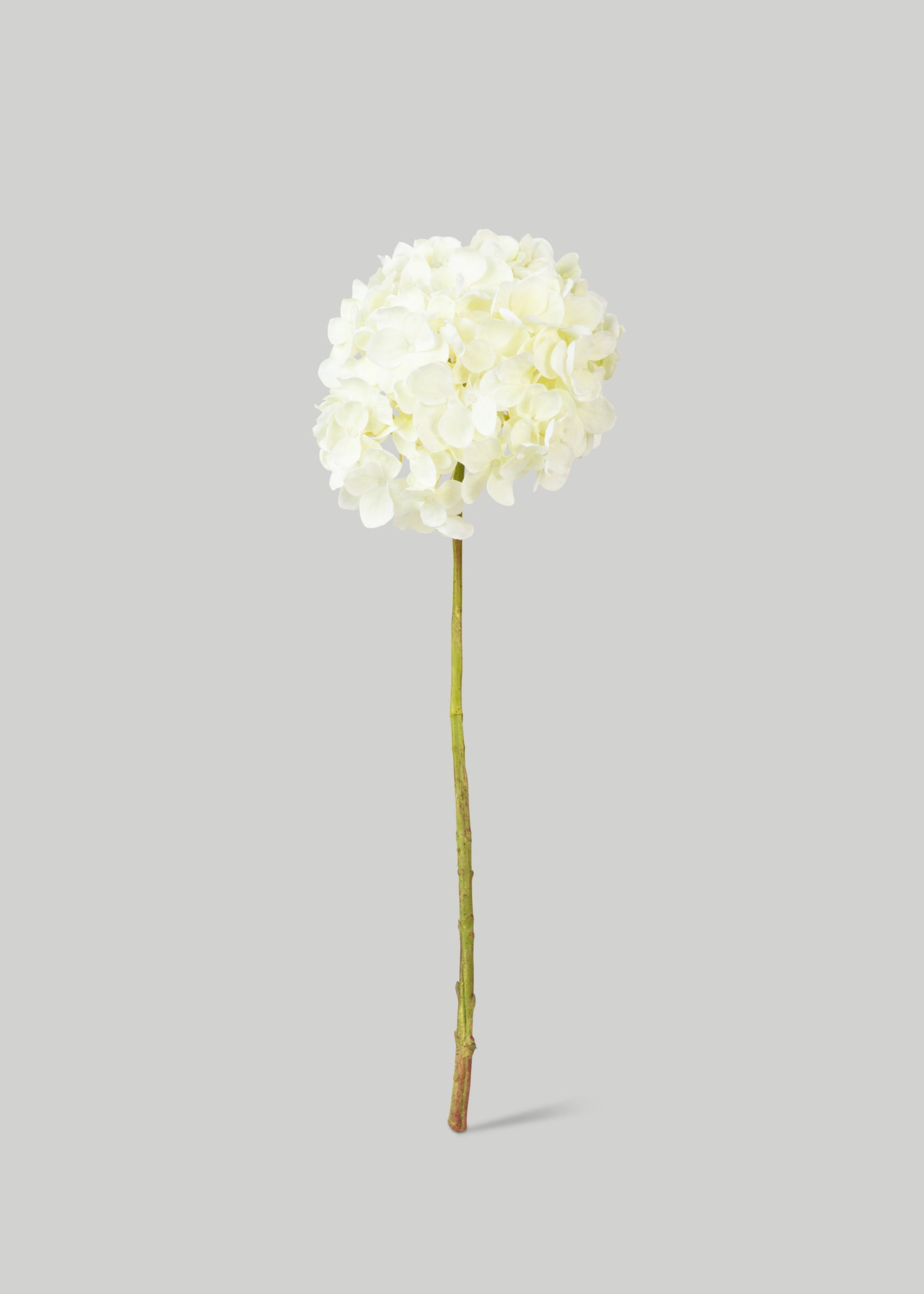 大きな白い造花アジサイ - 24インチ x 9インチの花