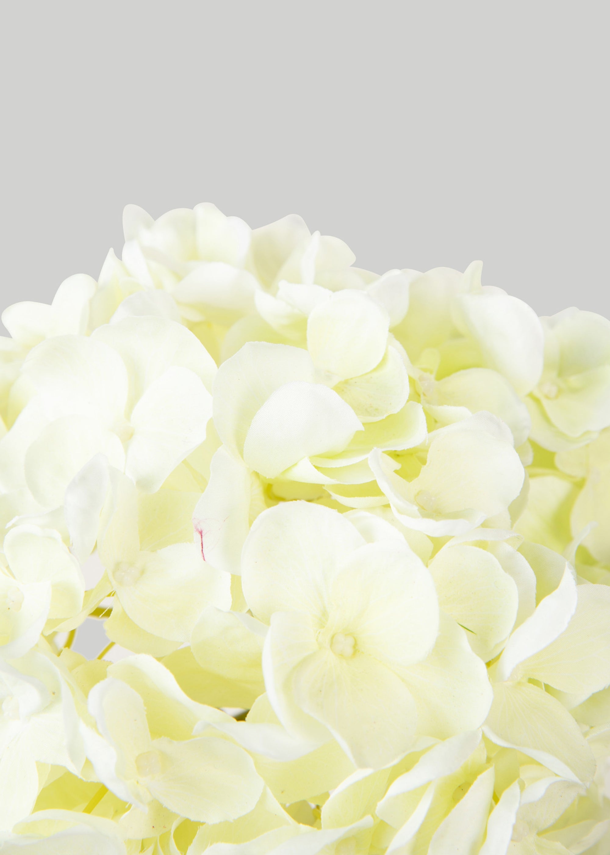 大きな白い造花アジサイ - 24インチ x 9インチの花